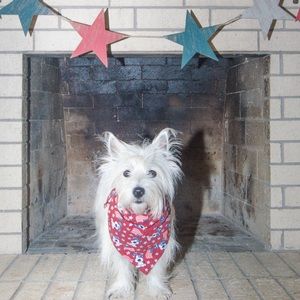 KW Bandanas 4th of July bandana